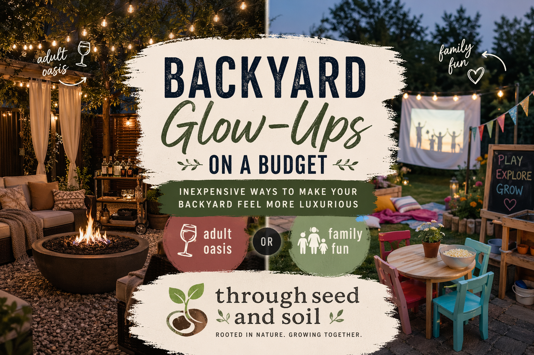 Backyard Glow-Ups on a Budget: From “Meh” to “Ahhh!”