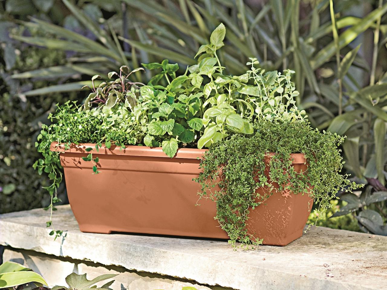 Planters and Baskets