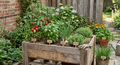Pizza Basket Garden in Recycled Pallet Planter - Preorder Now!