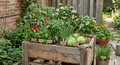 Taco Basket Garden in Recycled Pallet Planter - Preorder Now!